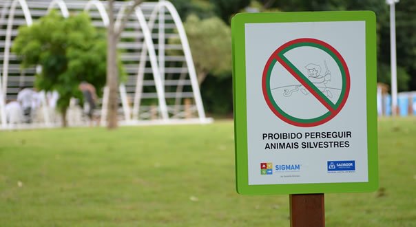 parquedacidade03