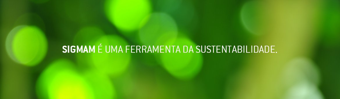 BANNER 03 – PT