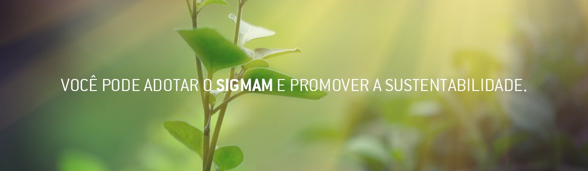BANNER 08 – PT